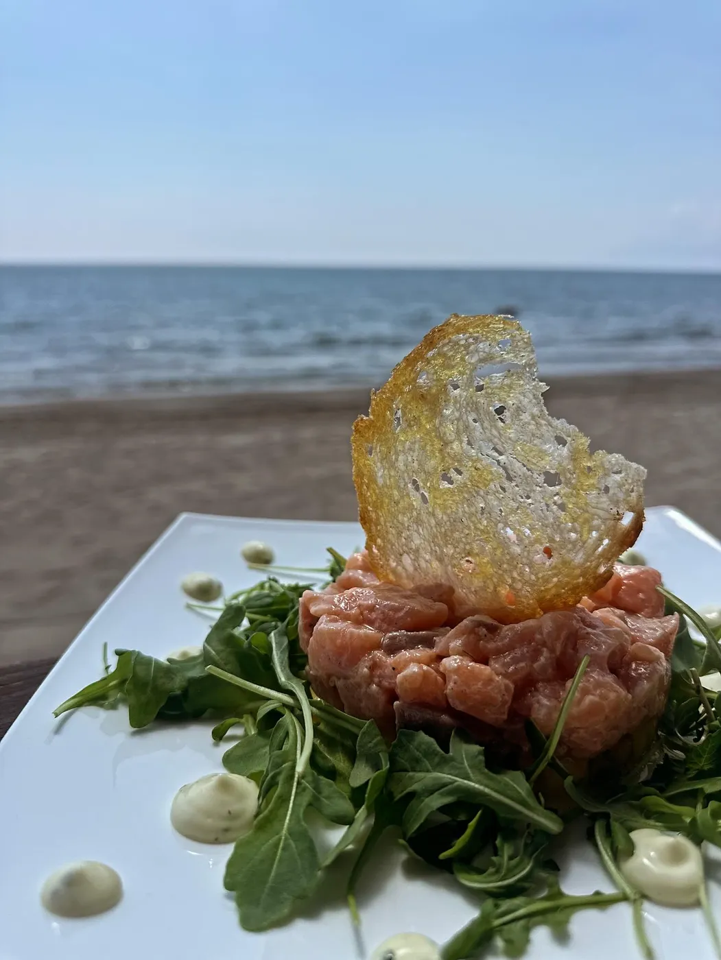 Crudo di salmone su rucola con cialda croccante, ristorante del Lido Riviera Spineta