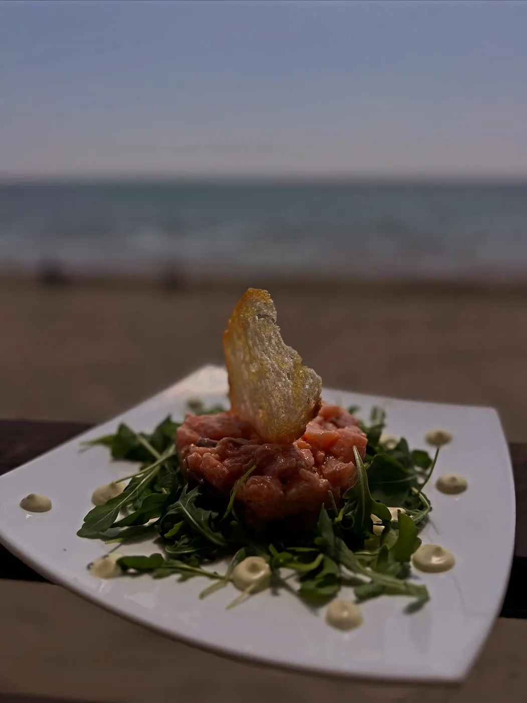 Tartare di salmone su rucola con vista mare, ristorante del Lido Riviera Spineta