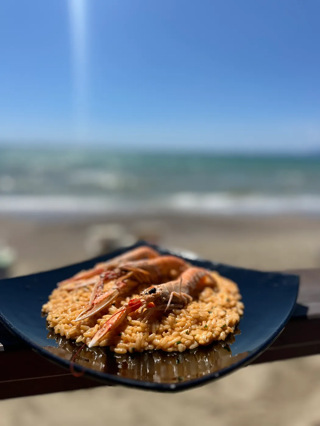 Risotto mantecato con crostacei, ristorante del Lido Riviera Spineta
