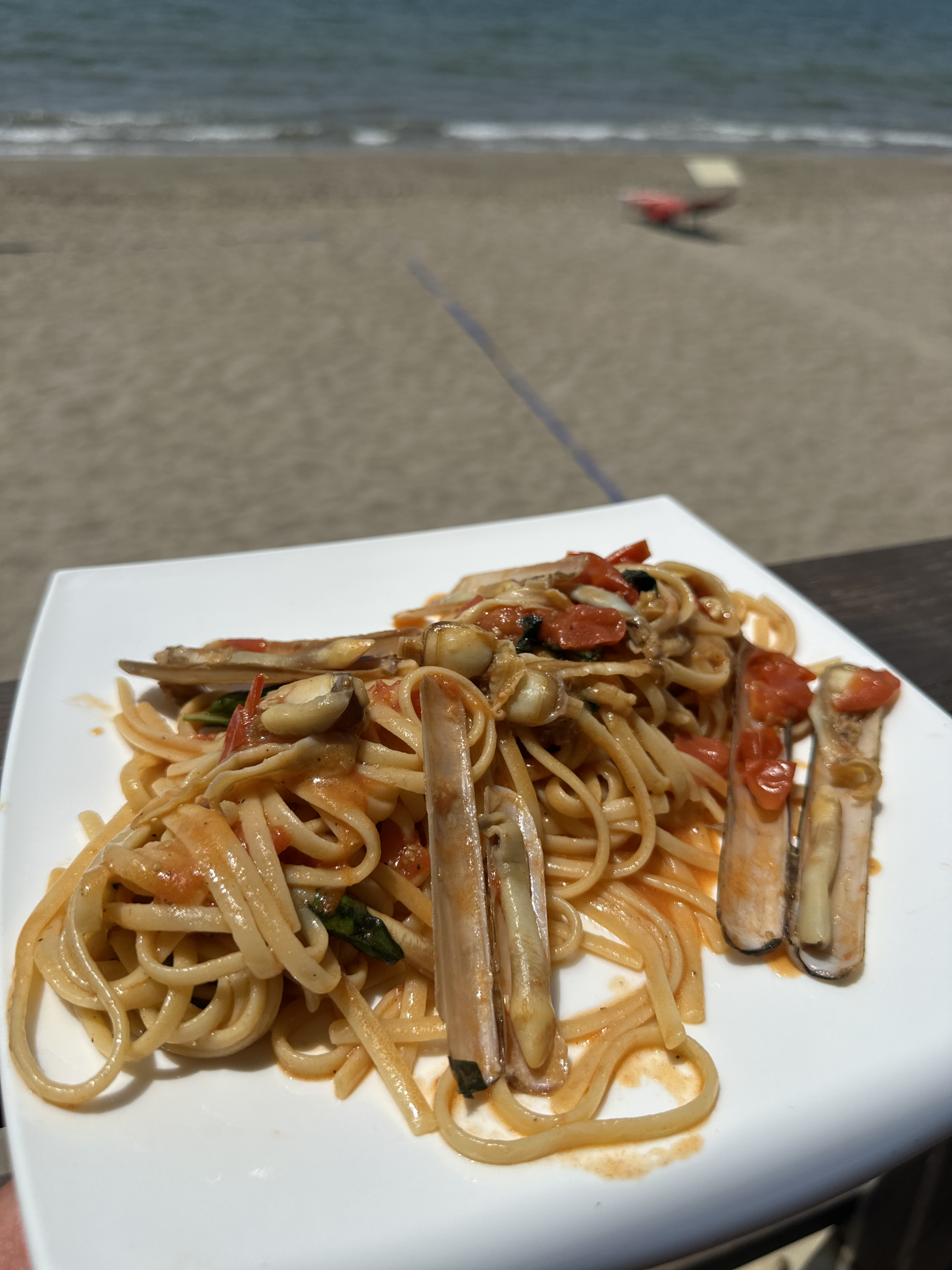 I due campi regolamentari dello Spineta Beach Stadium visti dall'alto